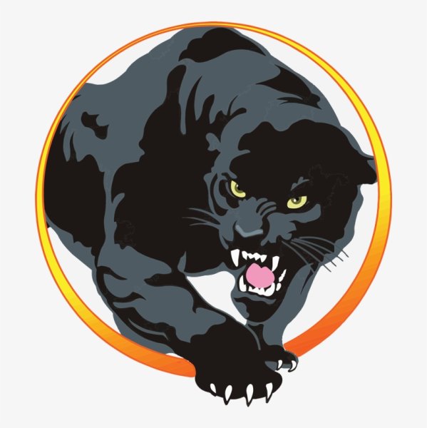 Клан пантера