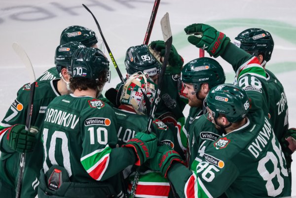 Барс логотип