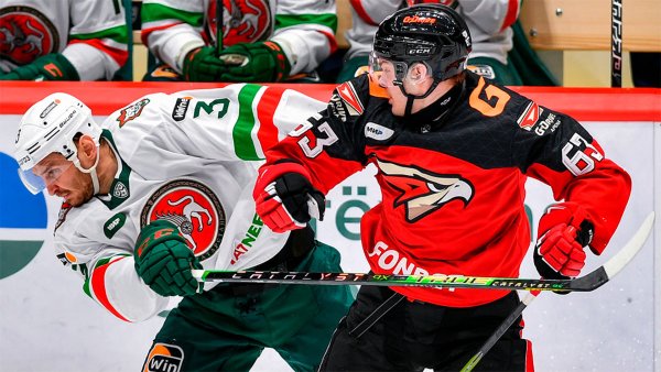 Новая эмблема АК Барс хоккейный клуб