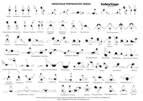 Аштанга йога асаны в картинках