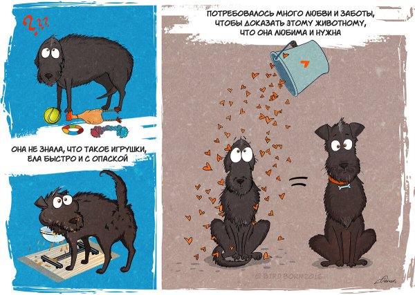 Комикс про собаку из приюта