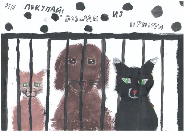 Рисунки на тему приют