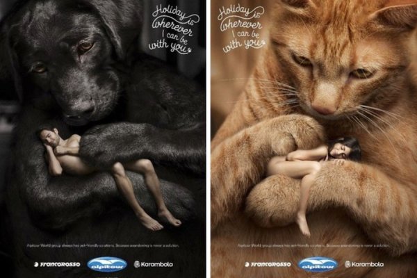 Социальная реклама животные домашние