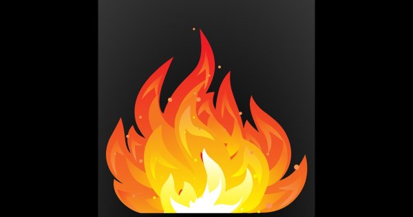 Essay on Triangle Fire