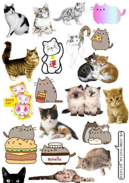Стикеры котики для распечатки