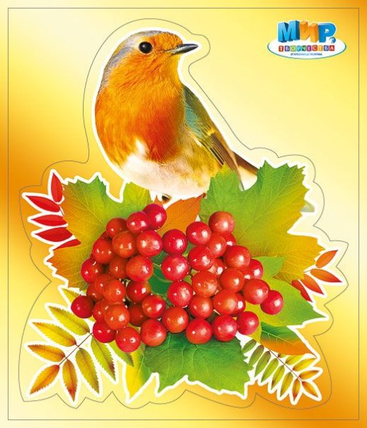 Маркировка птица для детского сада