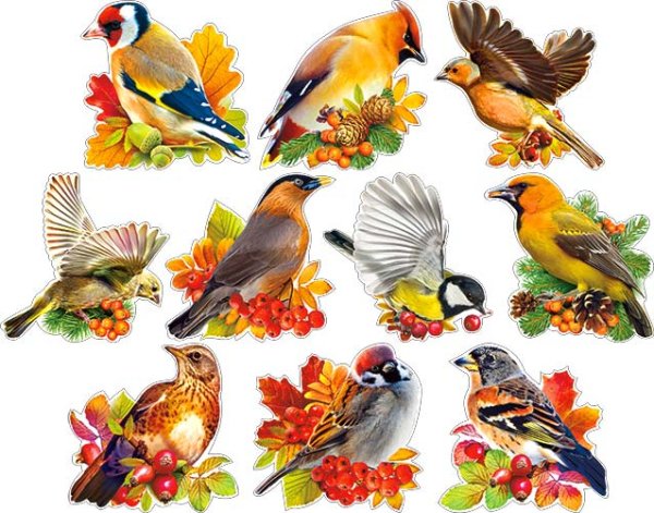 Птички для украшения группы в детском саду