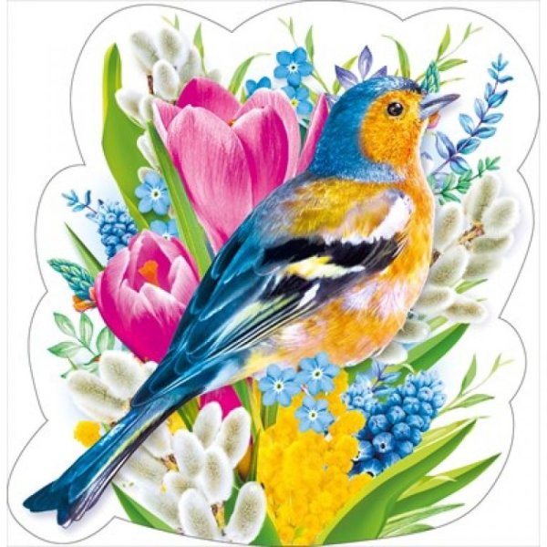 Птички для печати цветные