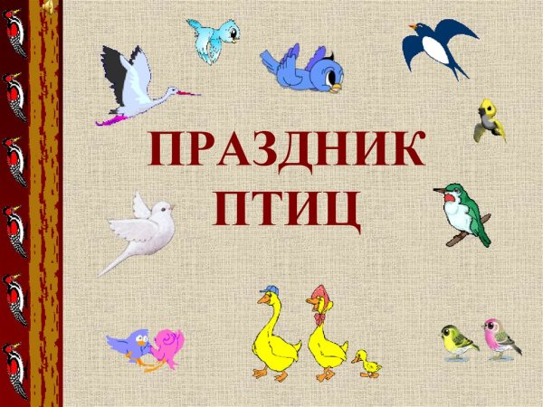 Стикеры птицы