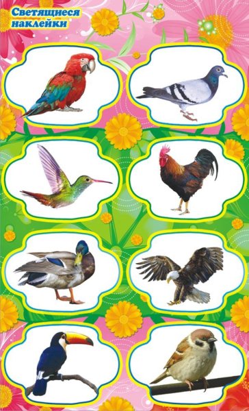 Этикетка птицы