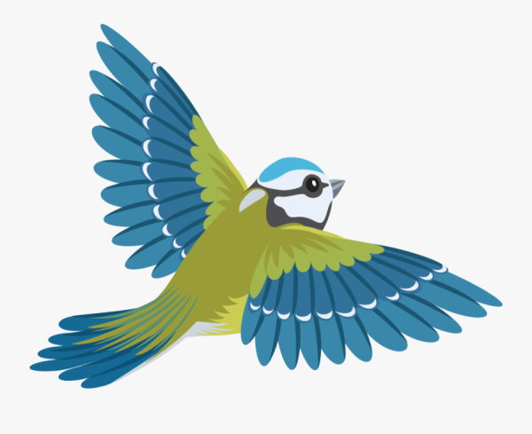 Птички на дереве мультяшные