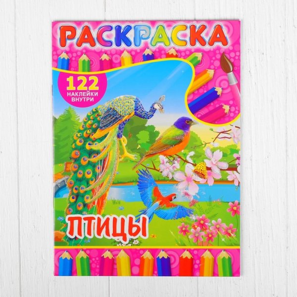 Групповой плакат птицы