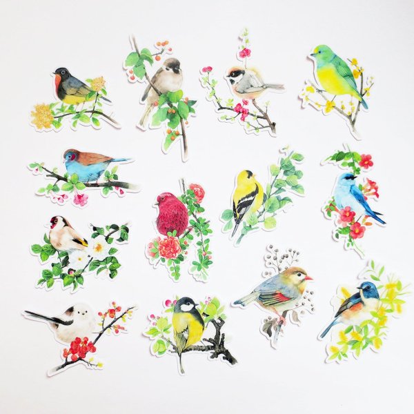 Птицы для скрапбукинга