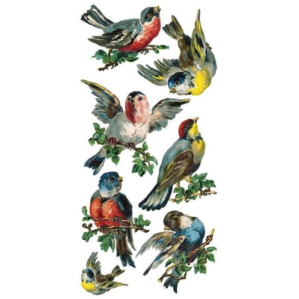 Стикеры Сова