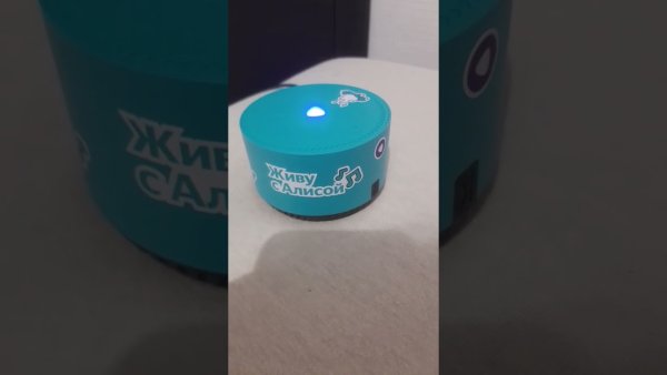 Алиса колонка мини в живую