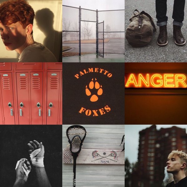 Лисья Нора книга Эстетика