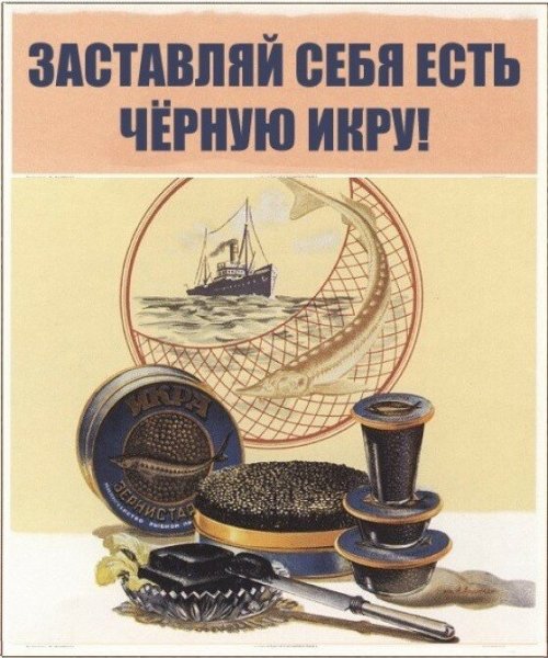 Заставляй себя есть икру плакат