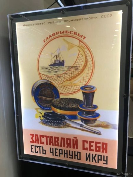 Заставляйте себя есть чёрную икру плакат