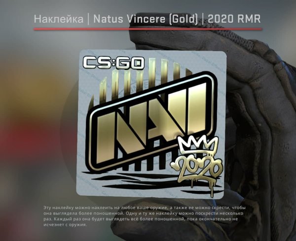 Наклейка Navi PMP 2020