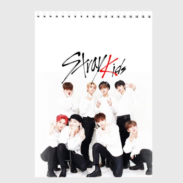 Stray Kids Maxident Постер