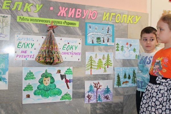 Экологическая акция сохраним елочку