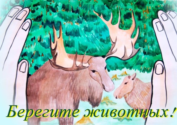 Красивый плакат берегите животных