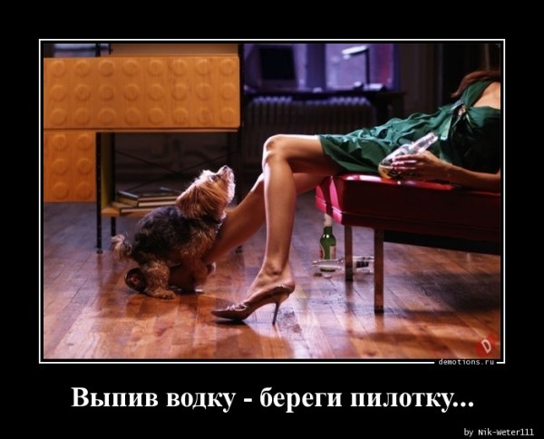 Выпила береги пилотку