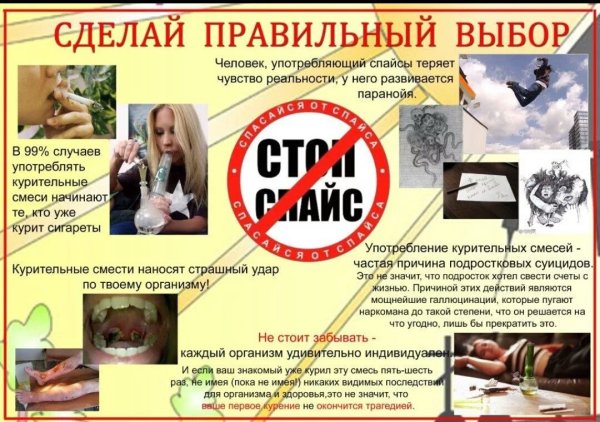 Профилактика алкоголизма и наркозависимости