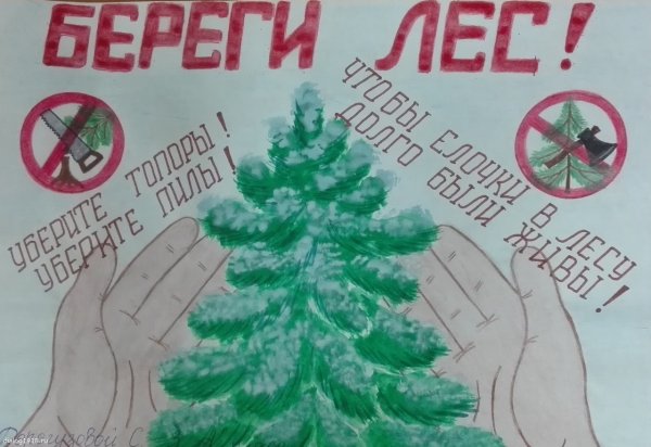 Листовки в защиту елок