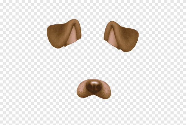 Собачьи уши