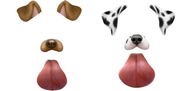 Фиксатор для ушей собак