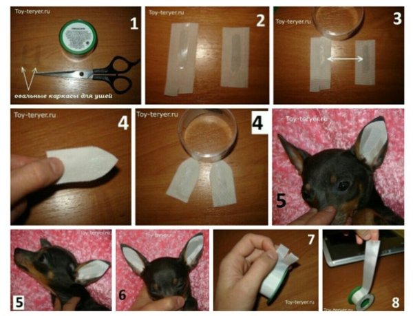 Серьги для йорков