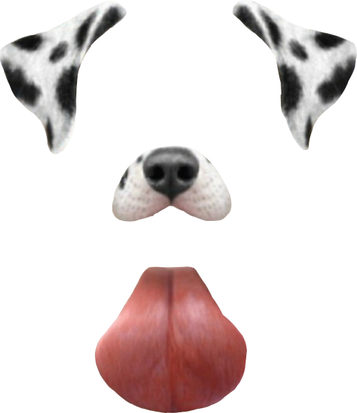 Стразики на ушки собаке