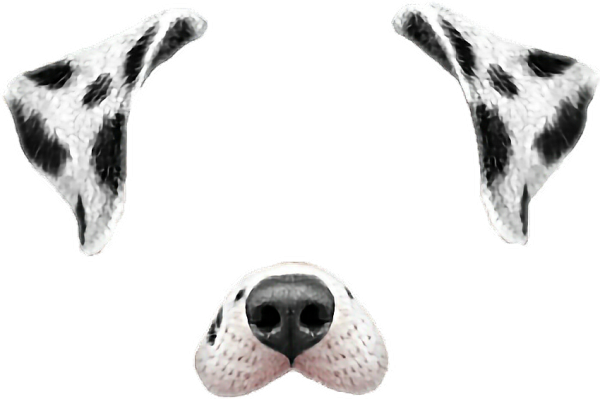 Sentry для собак для ушей