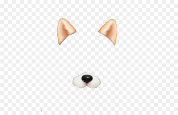 Пластырь для подклейки ушей собаке