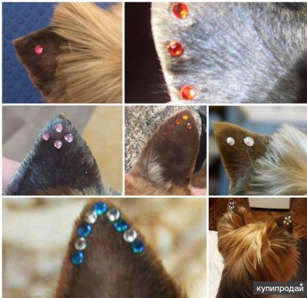 Маски снапчат на лицо