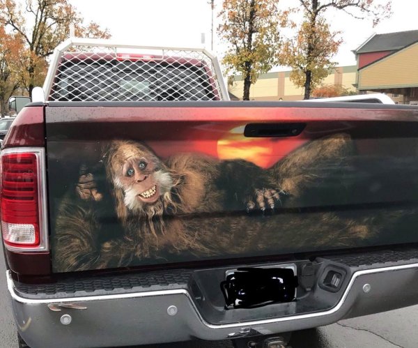 Наклейки на багажник автомобиля