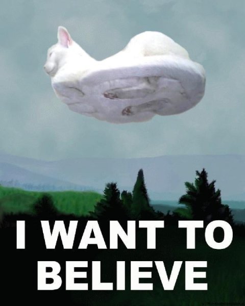 Летающая тарелка i want to believe