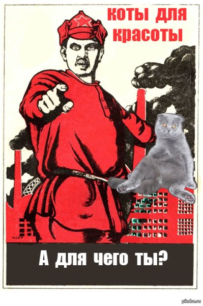 Цитаты про доносы