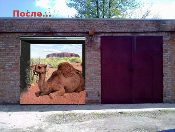 3д наклейки на гаражные ворота