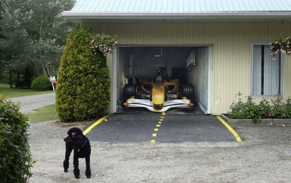 Необычные гаражные ворота