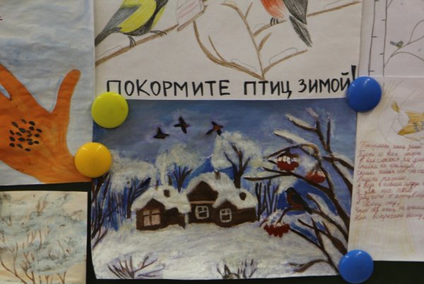 Плакат Покормите птиц зимой