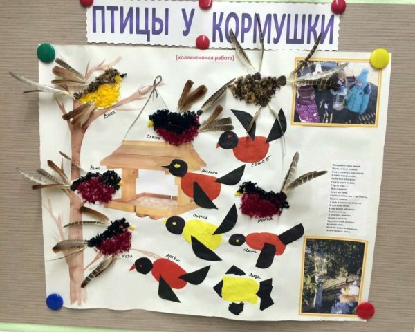 Акция Покормите птиц зимой в детском саду