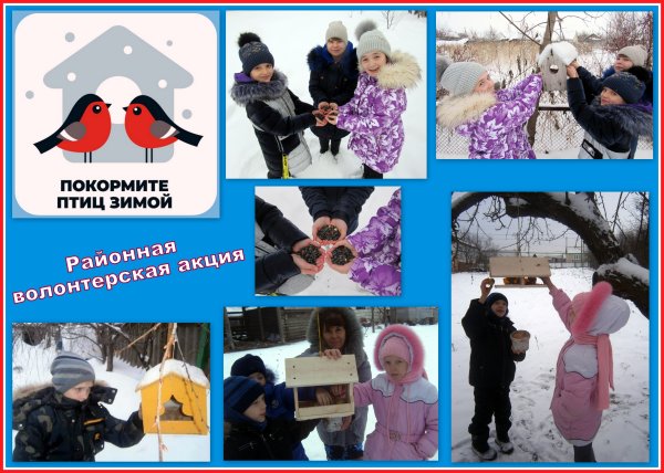 Покормите птиц зимой