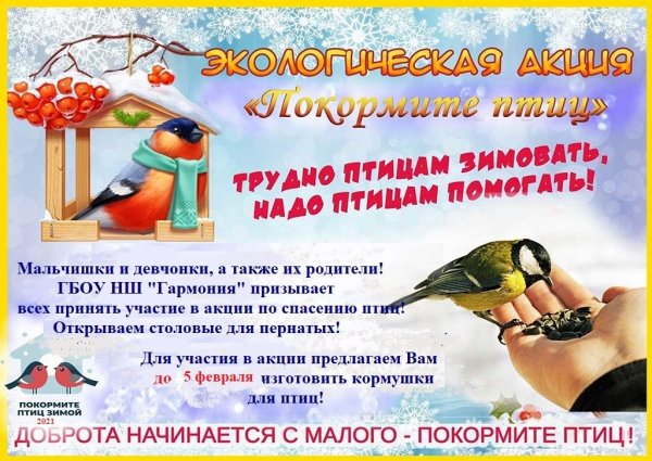 Акция Покорми птиц зимой