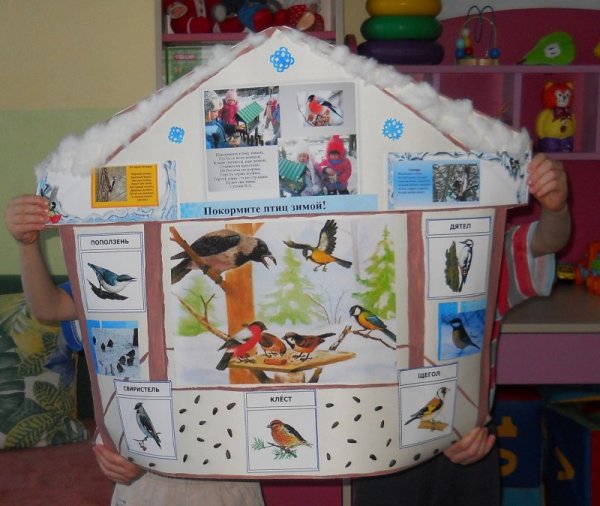 Проект про птиц в детском саду