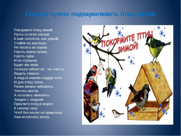 Птицы зимой для детей