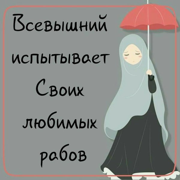 Цитаты мусульманки