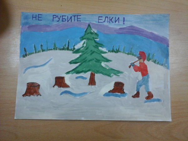 Не рубите ели