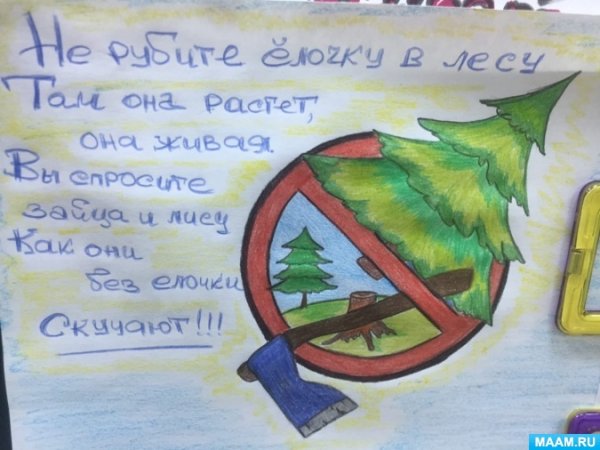 Сохраним елку красавицу наших лесов